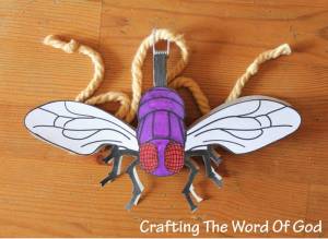 The Plague Of Flies Fly String Toy